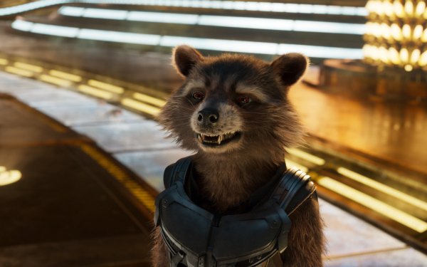 Movie Guardians of the Galaxy Vol. 2 Guardians of the Galaxy Rocket Raccoon HD Wallpaper | Background Image