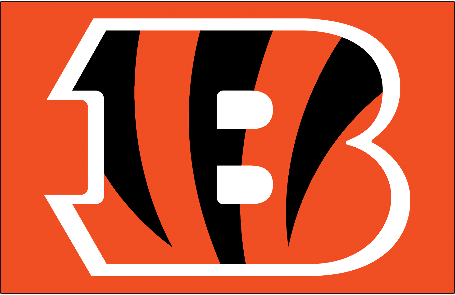 Cincinnati Bengals Projects :: Photos, videos, logos, illustrations and  branding :: Behance