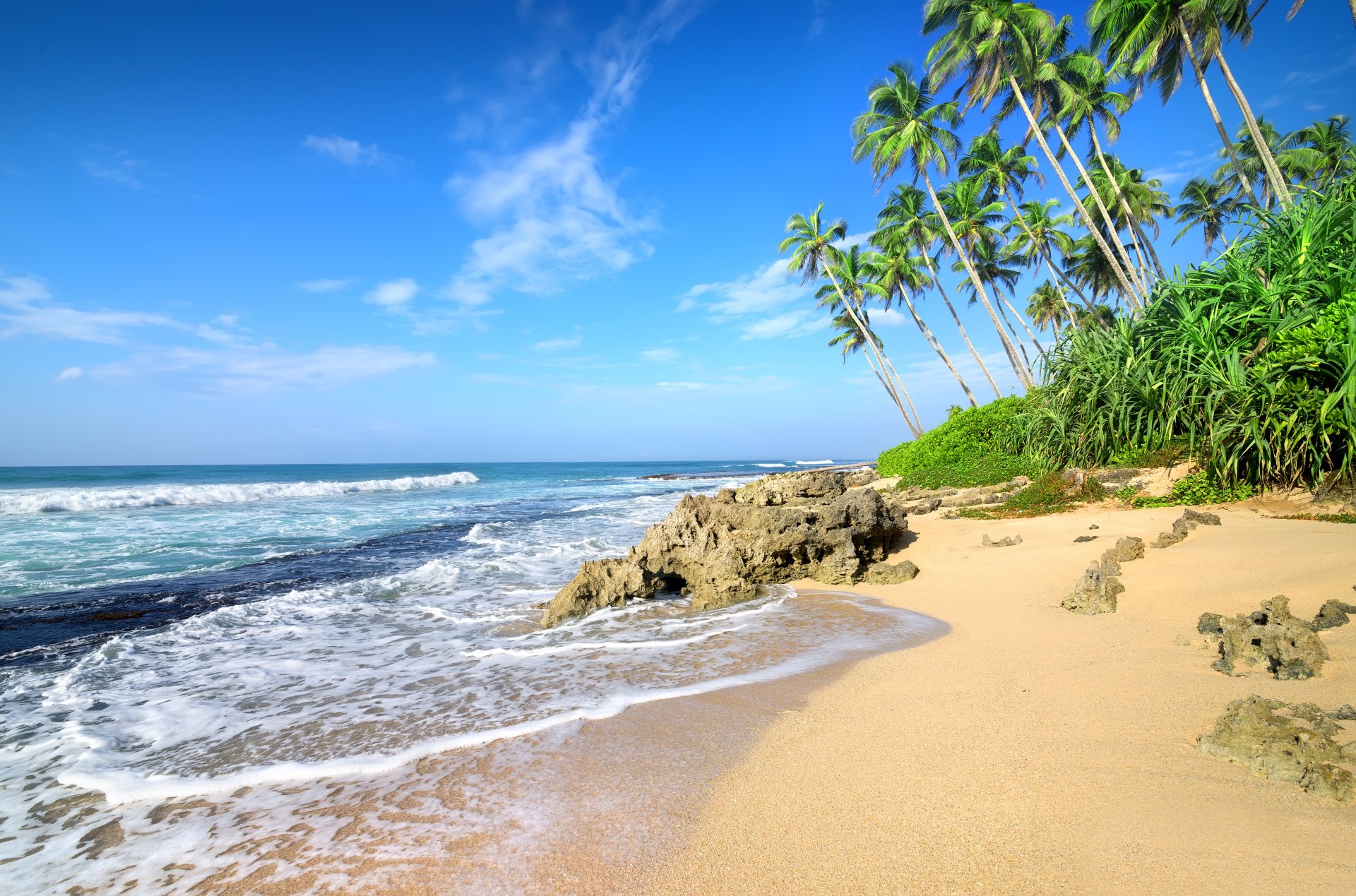 5K Ultra HD Tropical Beach — Palm Trees, Sand & Ocean Horizon ...