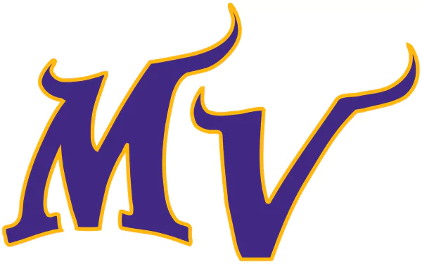 Minnesota Vikings Sports HD Desktop Wallpaper | Background Image