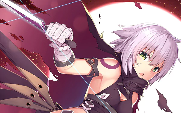 HD wallpaper featuring Assassin of Black from Fate/Apocrypha. The anime character is shown with a sword, white hair, and green eyes, set against a dramatic background.