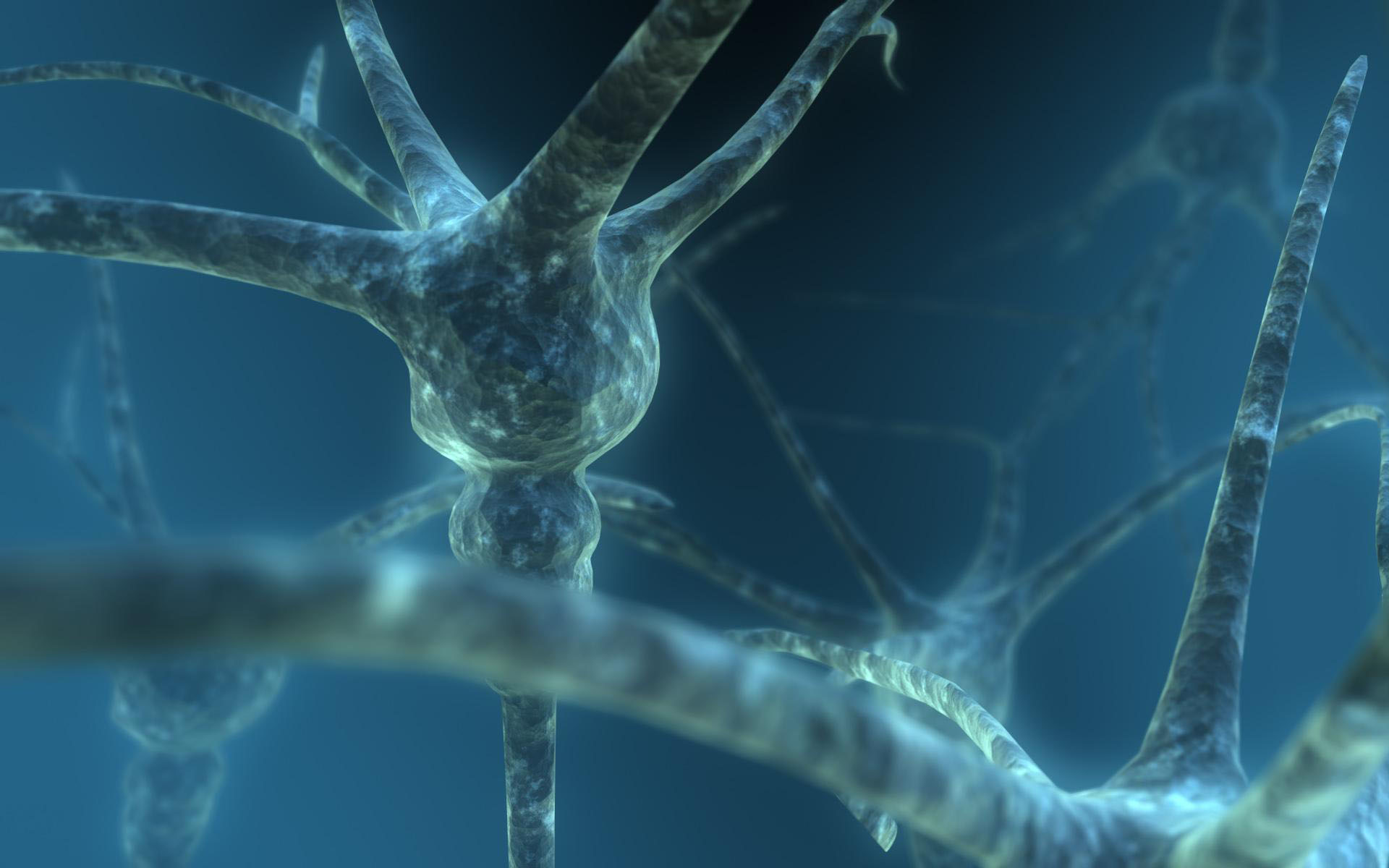 Artistic Neuron HD Wallpaper | Background Image