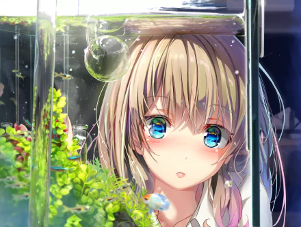 Anime girl with brown hair and blue eyes, blushing while looking at an aquarium filled with fish and green plants. The image is a high-definition desktop wallpaper and background.