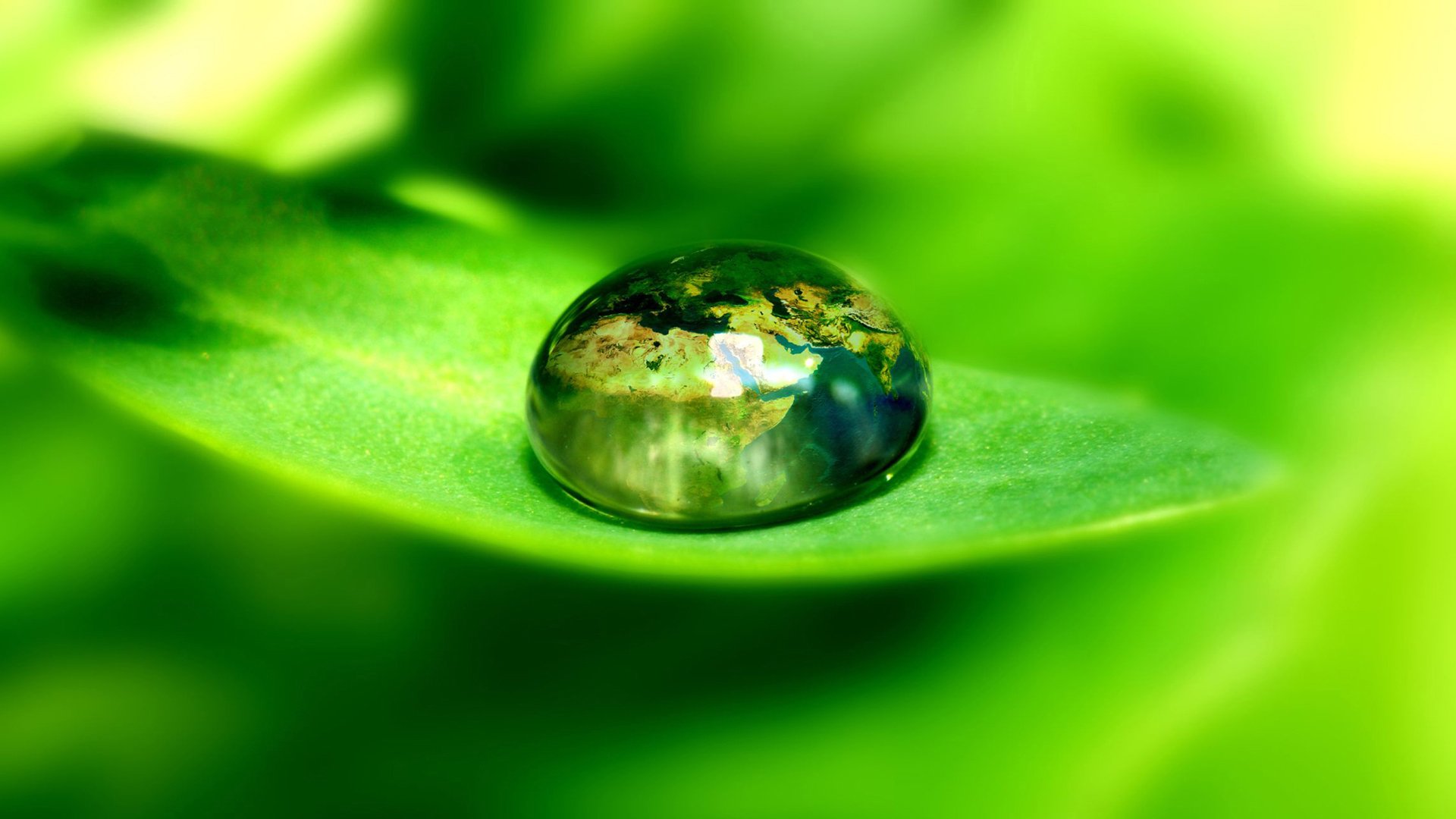 Nature's Reflection: HD Wallpaper of Water Drops on Leaf | 1920x1080 ...