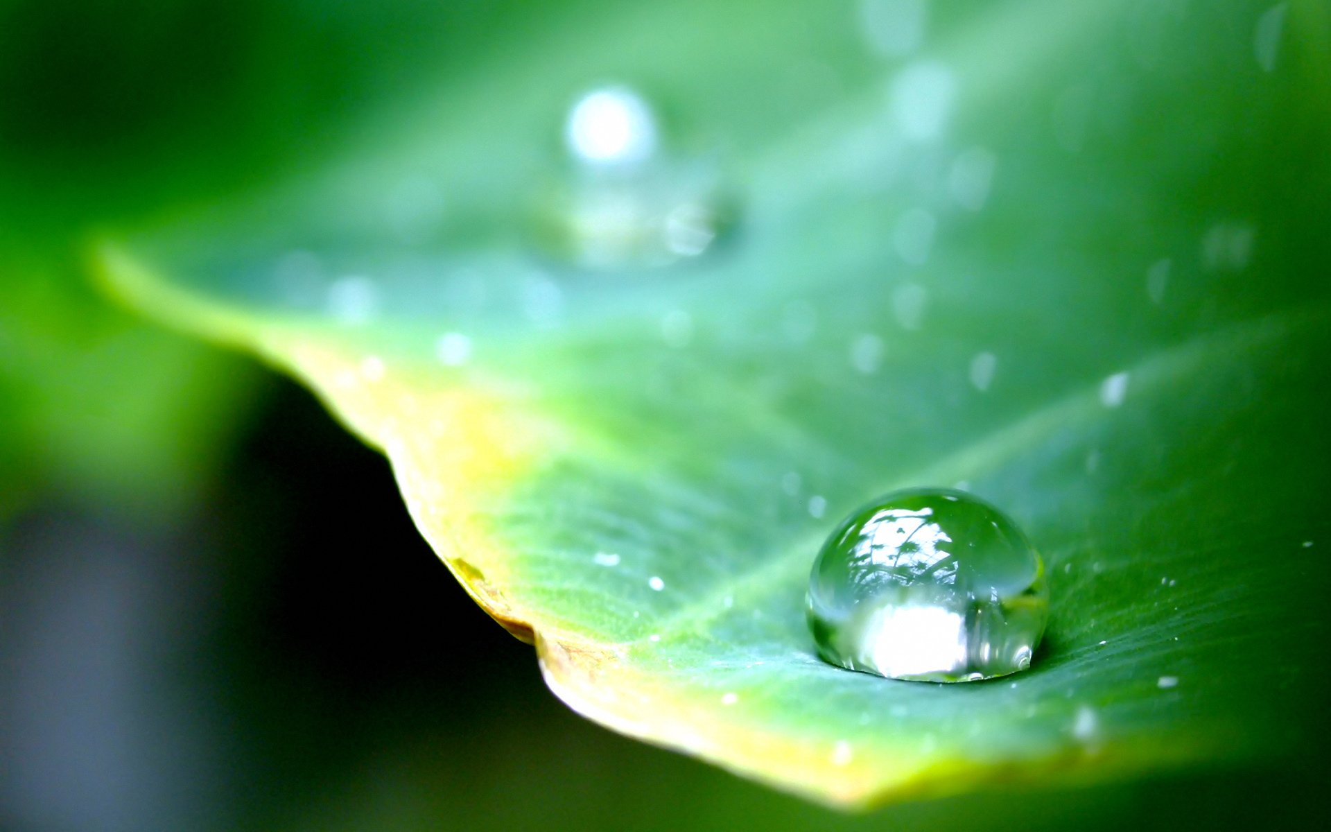 Фото капельки воды