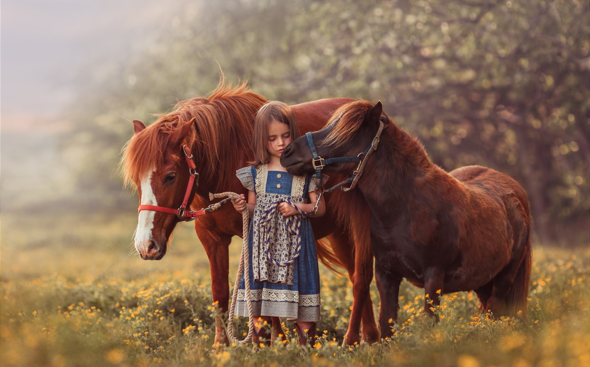 A little girl stands between two ponies in a blurred natural setting, captured in 4K Ultra HD, creating a warm and serene child photography scene.