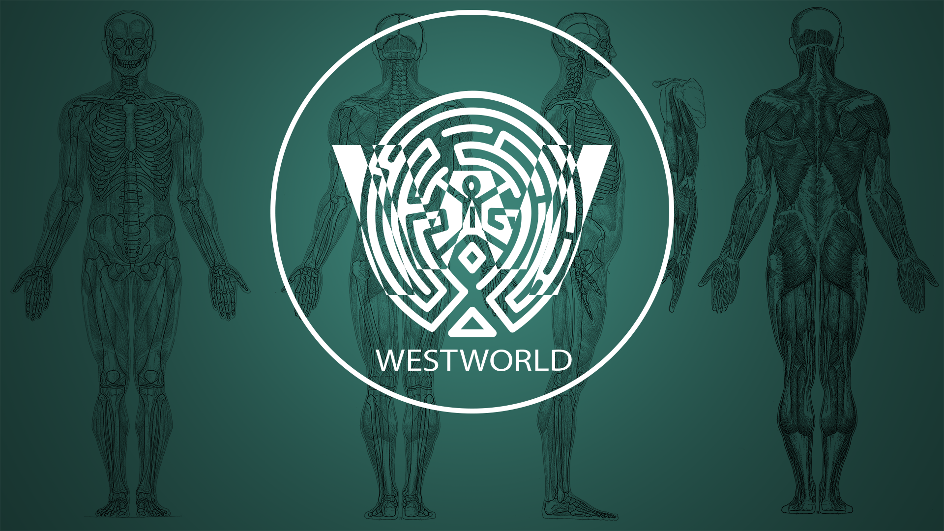 Download TV Show Westworld HD Wallpaper