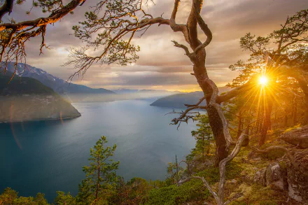 Panoramic HD desktop wallpaper of a serene lake at sunrise, with sunbeams filtering through trees nestled on a rocky hillside in a tranquil natural landscape.
