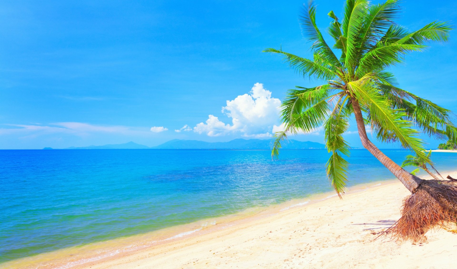 Tropical Beach Hd Wallpaper 4k Ultra Hd Hd Wallpaper Wallpapersnet Images