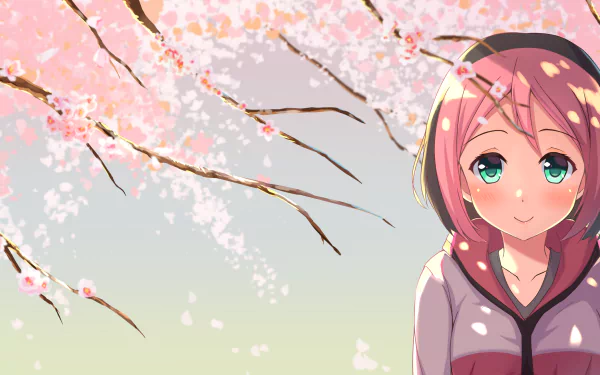 HD PC desktop wallpaper featuring a vibrant anime-style character from the video game Osu! with blooming cherry blossoms in the background.