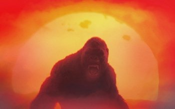 48 Kong Skull Island Hd Wallpapers Background Images Wallpaper