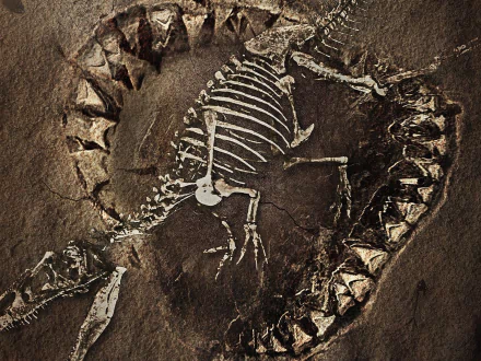 movie The Meg HD Desktop Wallpaper | Background Image