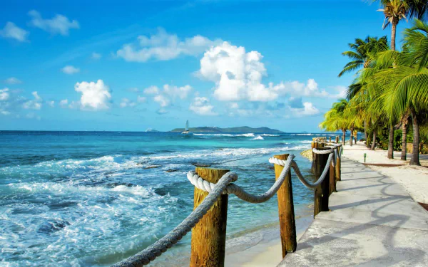 A scenic view of a Caribbean coastline, featuring palm trees, a wooden fence with rope, and gentle waves lapping against the shore under a bright blue sky.