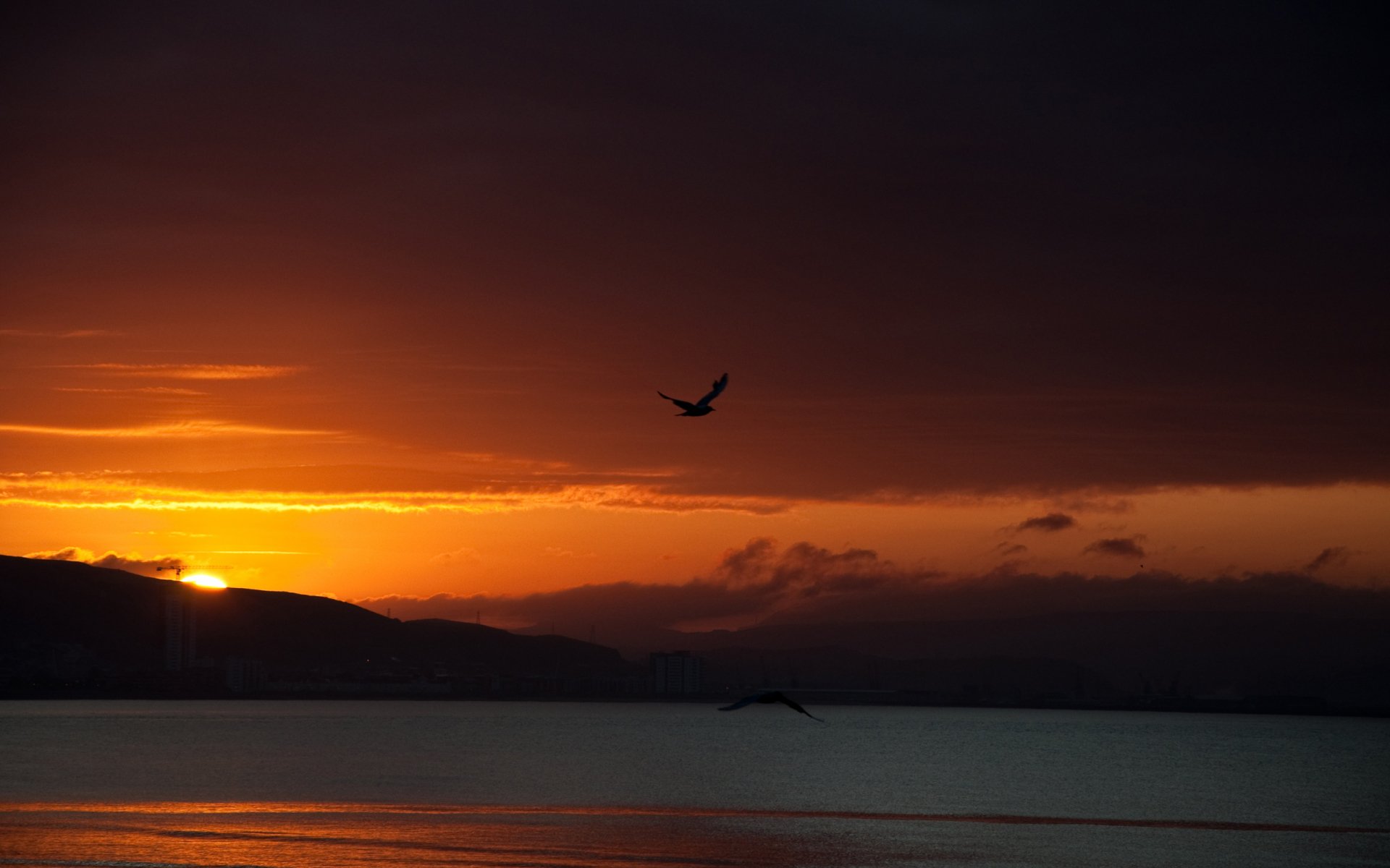 HD desktop wallpaper showcasing a serene nature scene with a vibrant sunrise over calm water and silhouetted hills, featuring birds in flight.