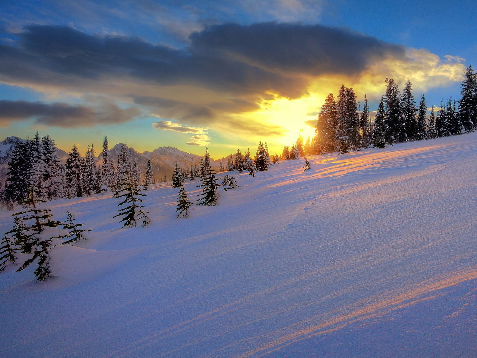 HD desktop wallpaper showing a snowy landscape with pine trees at sunset, warm golden light casting shadows across the snow under a partly cloudy sky.