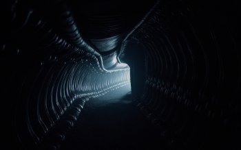 33 Alien Covenant Hd Wallpapers Background Images Wallpaper Abyss Images, Photos, Reviews