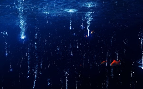 Anime Original Fish Water Light Underwater HD Wallpaper | Background Image