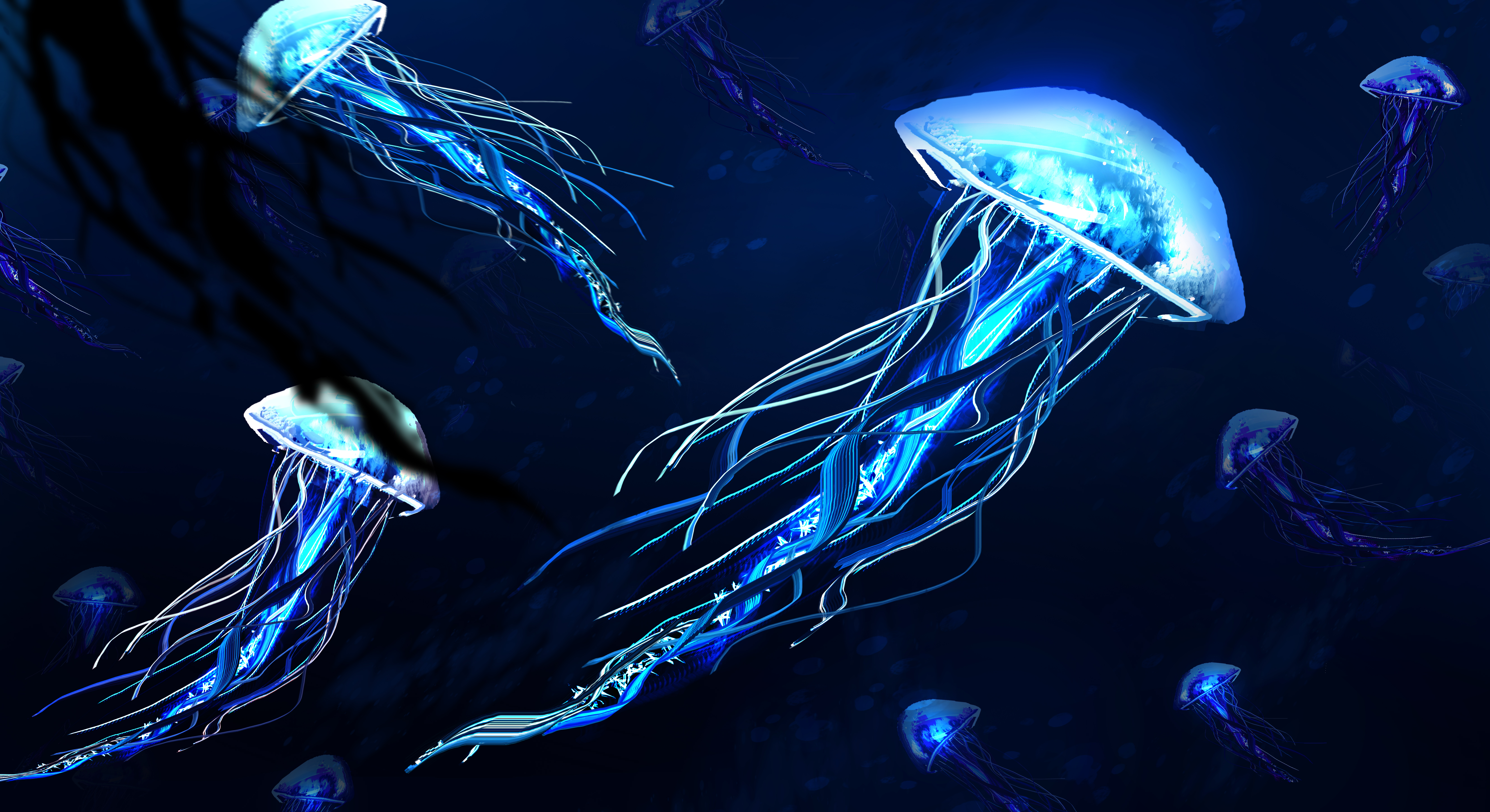 Art L7matrix Jellyfish 4K wallpaper download