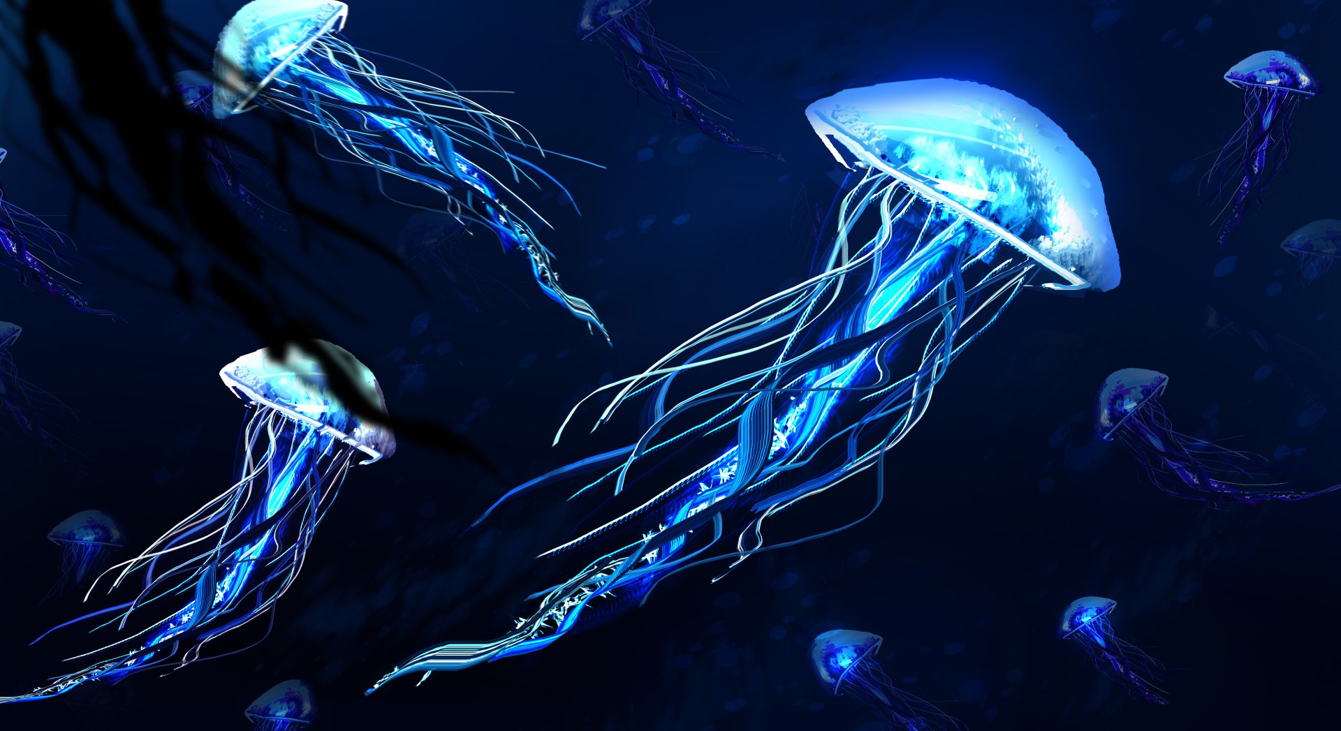 Glowing Jellyfish 4k Wallpapers Wallpapers Hd - vrogue.co