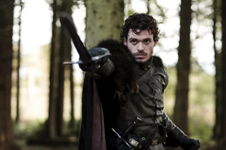 Richard Madden Robb Stark TV Show Game Of Thrones HD Desktop Wallpaper | Background Image
