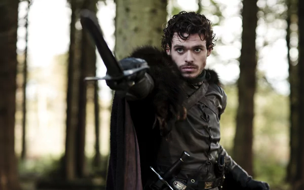 Richard Madden Robb Stark TV Show Game Of Thrones HD Desktop Wallpaper | Background Image