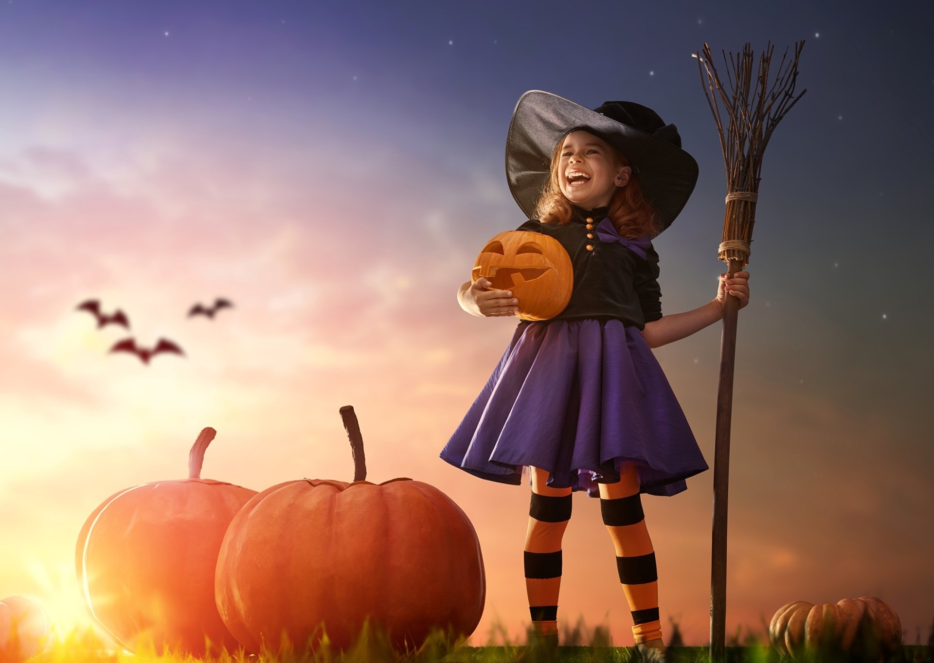 Halloween holiday 2K Quad HD PC desktop wallpaper background: smiling girl in witch costume holds a jack-o'-lantern and broom among pumpkins at dusk, bats flying in the sky.