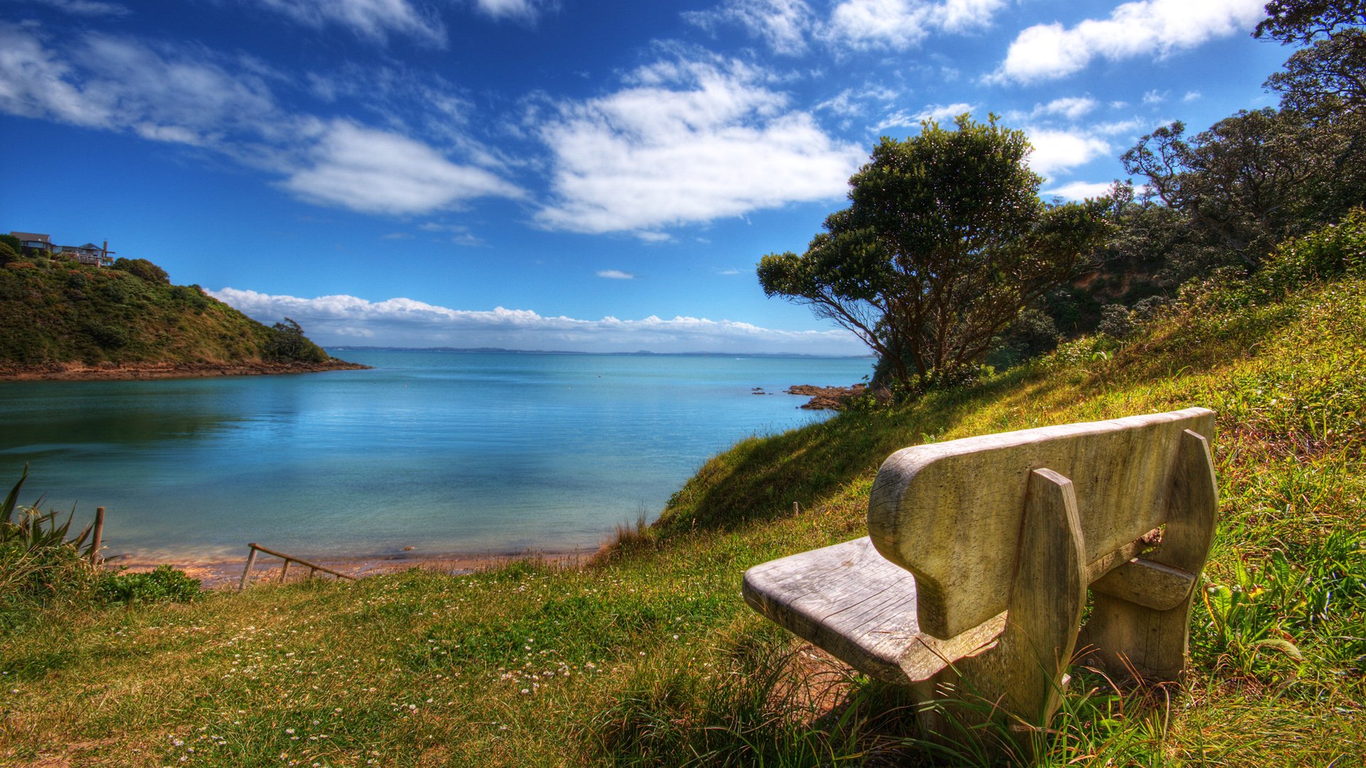 A serene landscape featuring a wooden bench by the water's edge, with lush grass, trees, and a clear blue sky dotted with clouds, capturing the tranquility of nature by the ocean.