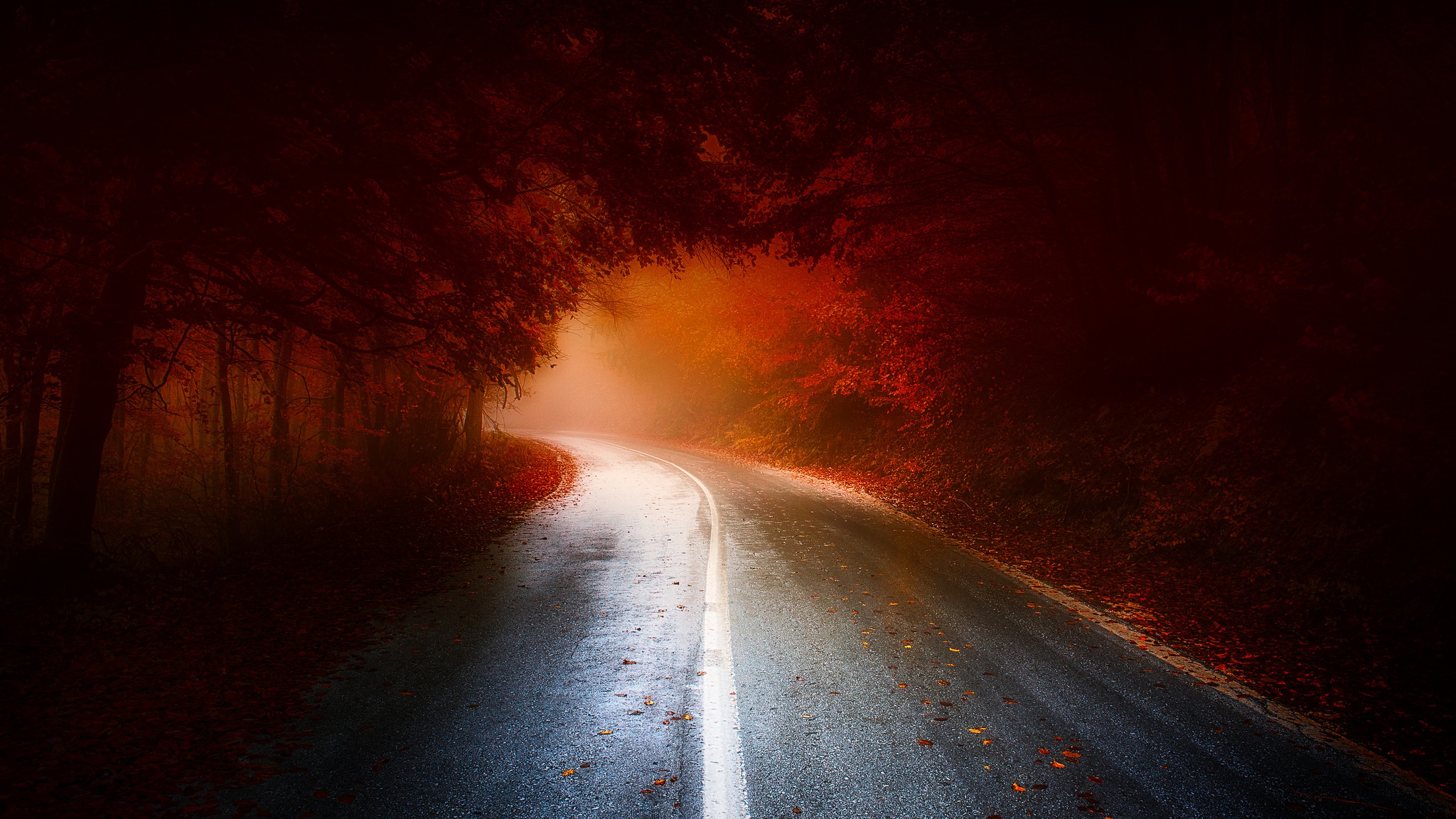 Download Fall Forest Fog Nature Man Made Road HD Wallpaper