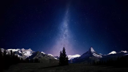 HD PC desktop wallpaper of a starry night sky over a mountain range with a tree silhouette in the foreground, showcasing the beauty of nature and landscape.