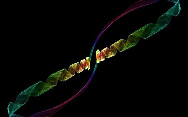  DNA