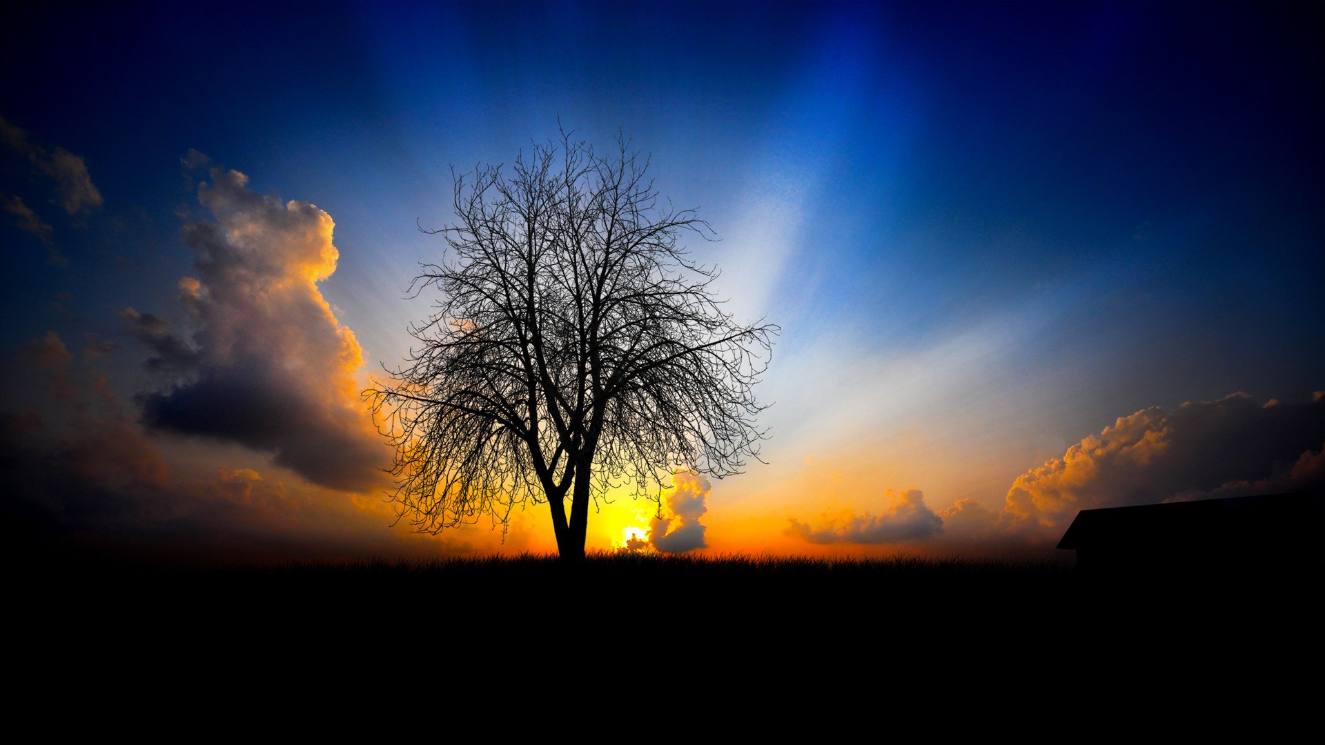 A stunning HD wallpaper featuring a silhouetted tree against a vibrant sunset sky, with clouds and rays of sunlight illuminating the scene in a serene nature setting.