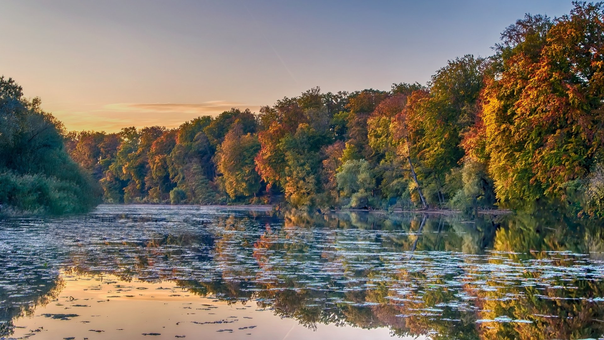 Download Reflection Nature River HD Wallpaper