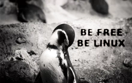 A black-and-white HD wallpaper featuring a penguin, with the text Be Free Be Linux, symbolizing freedom and technology in the Linux community.