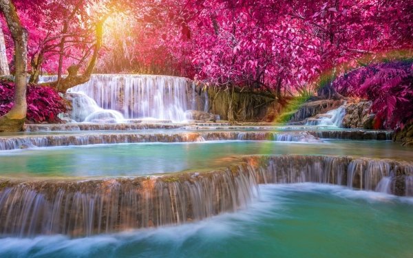 Nature Waterfall Waterfalls Rainbow Tree HD Wallpaper | Background Image