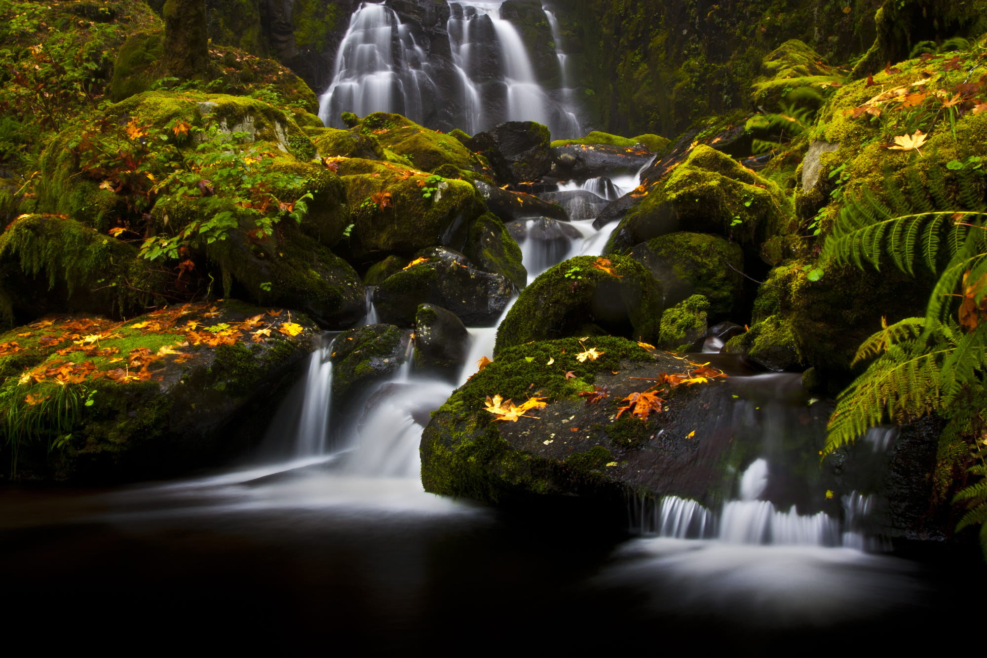 Water Cascades in Autumn Forest