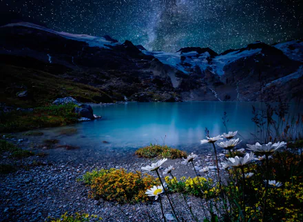 A serene HD wallpaper of a lake at night, featuring a white flower in the foreground with a star-filled sky and calm water reflecting the tranquil beauty of nature.