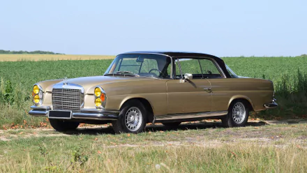 HD PC desktop wallpaper and background: vintage vehicle — gold Mercedes‑Benz W108 coupe parked on a grassy field beneath a clear blue sky.