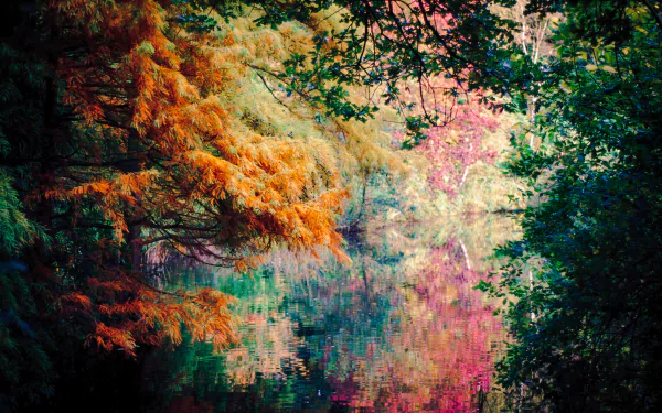 4K Ultra HD desktop wallpaper showcasing vibrant fall foliage reflected in a tranquil forest pond, blending rich oranges, pinks, and greens in a serene natural scene.
