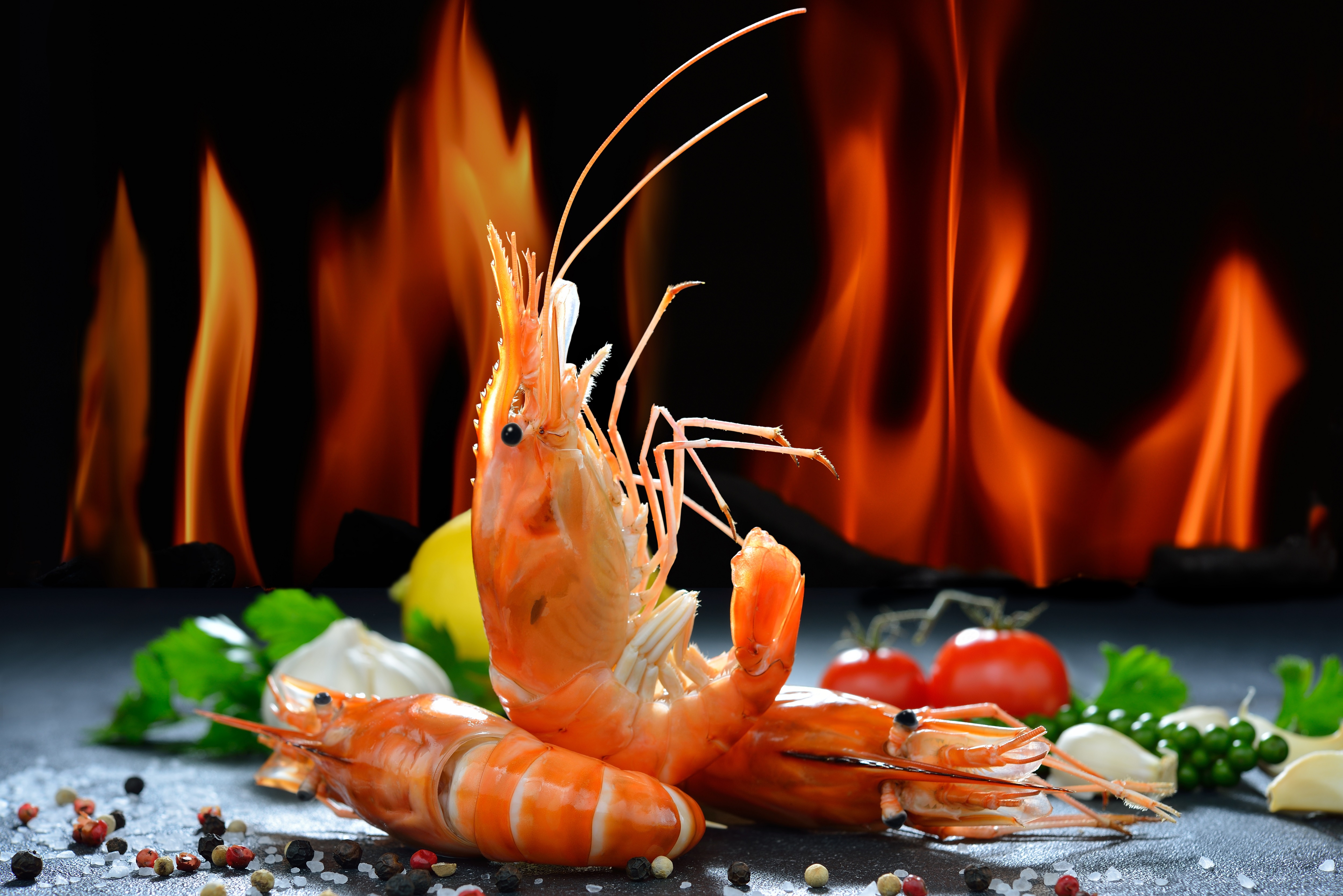 Food Shrimp HD Wallpaper | Background Image
