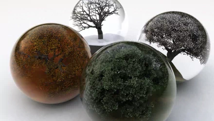A collection of four spherical glass displays, each showcasing trees in different seasonal states: autumn, winter, spring, and summer. Captivating photography for a cool HD desktop wallpaper.