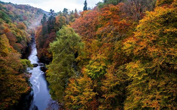 Nature River Forest Fall HD Wallpaper | Background Image
