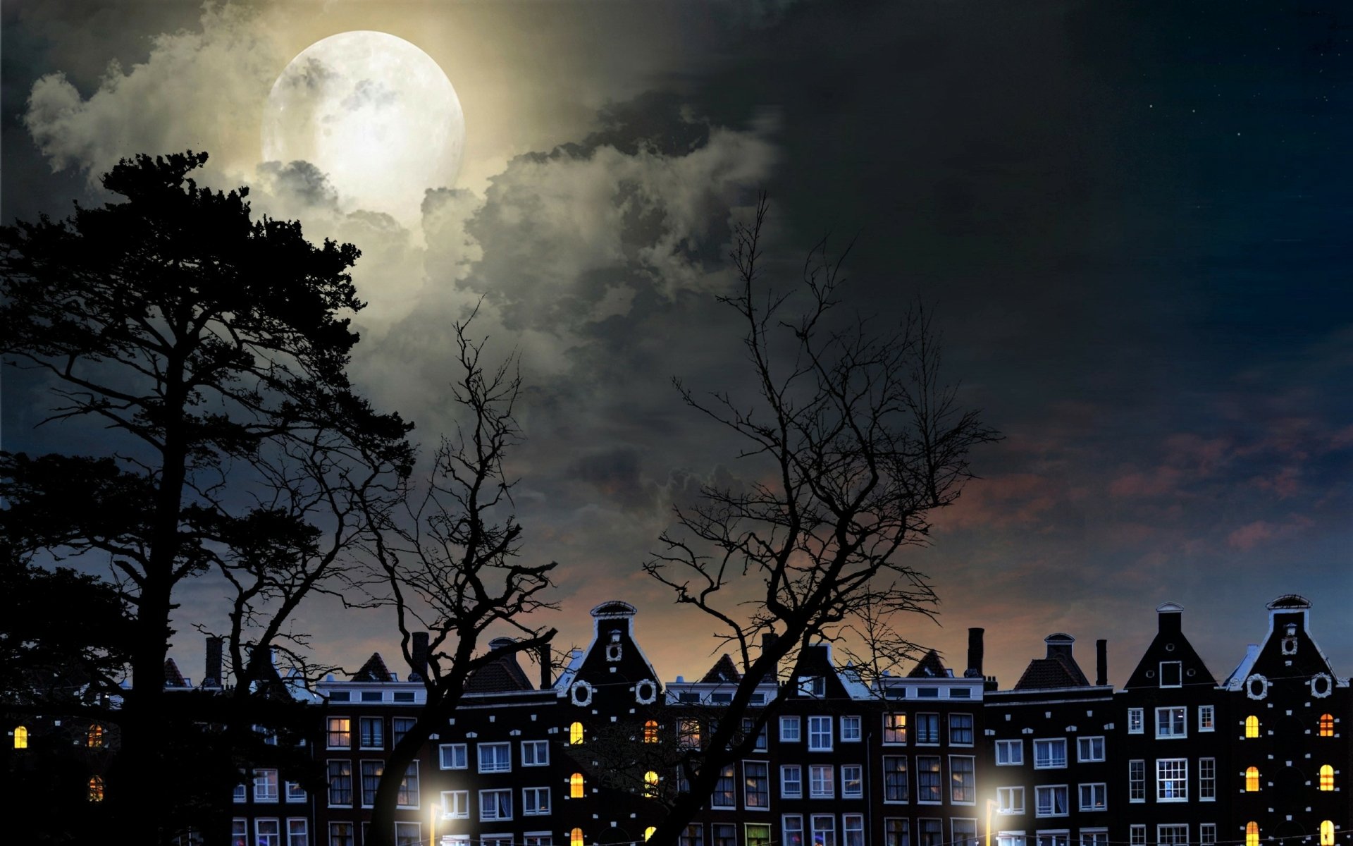 Nighttime cityscape of a Dutch neighborhood with silhouetted trees under a glowing full moon and cloudy sky, captured in an HD desktop wallpaper.
