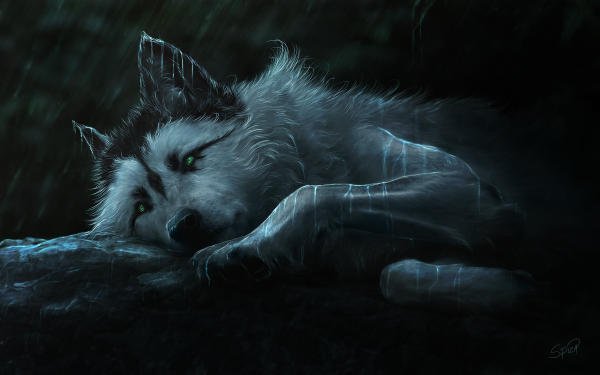 Fantasy Wolf Fantasy Animals Rain HD Wallpaper | Background Image