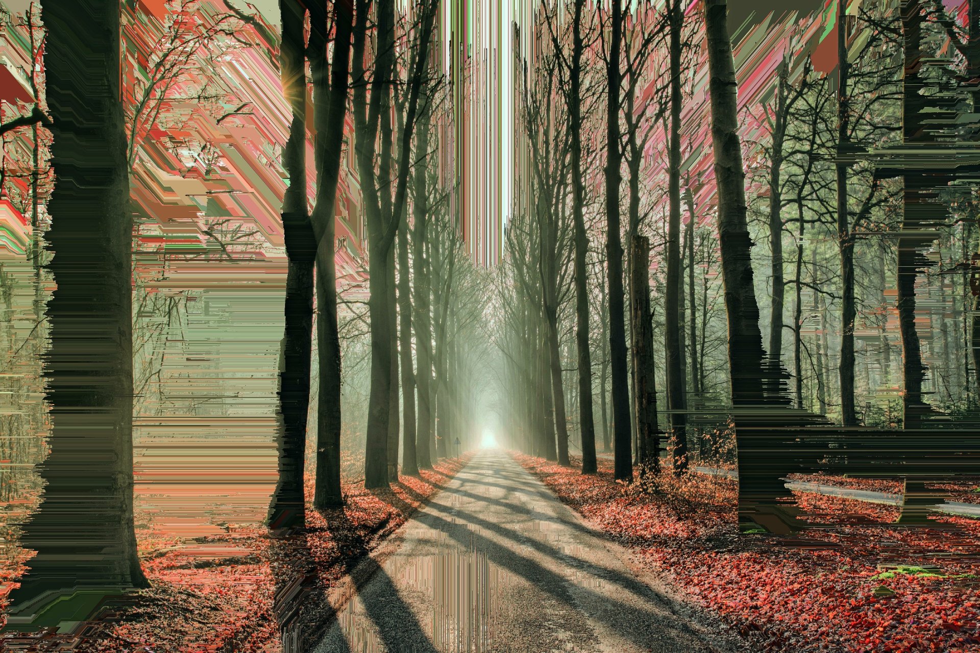 HD desktop wallpaper featuring a glitch-art inspired forest scene with light streaming through tall trees.