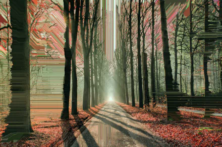 HD desktop wallpaper featuring a glitch-art inspired forest scene with light streaming through tall trees.