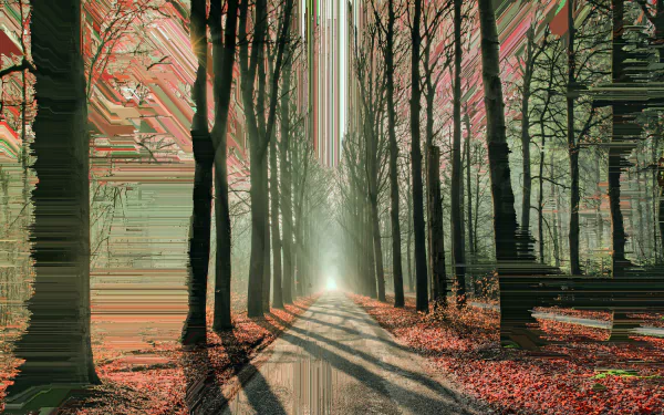 HD desktop wallpaper featuring a glitch-art inspired forest scene with light streaming through tall trees.