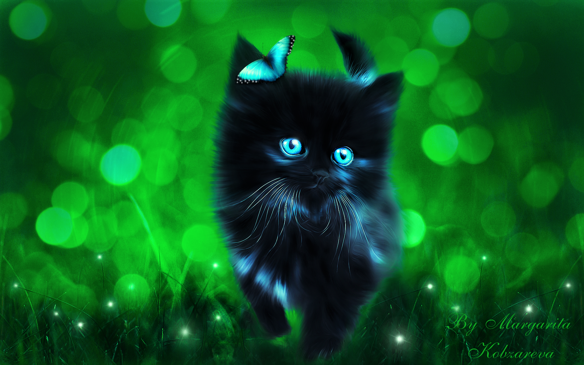 Download Bokeh Butterfly Cute Kitten Fantasy Cat Cute Cat HD Wallpaper