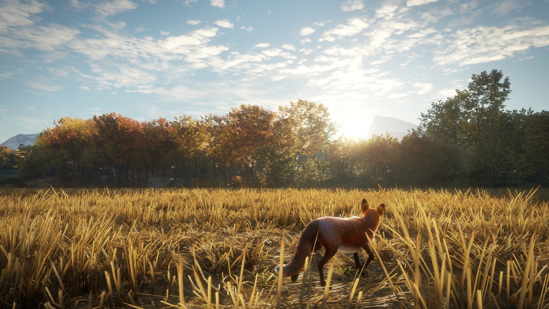 Hunter's Dawn in Call of the Wild HD Wallpaper