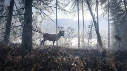 HD desktop wallpaper from the game theHunter: Call of the Wild, featuring a majestic deer in a misty forest.