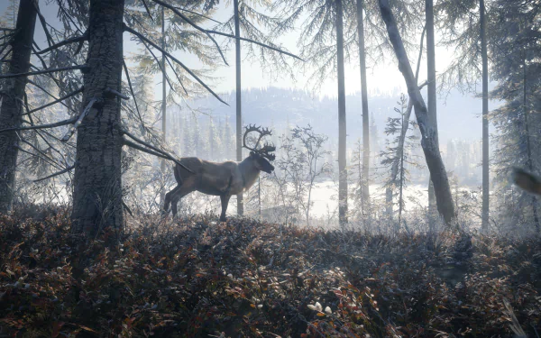 HD desktop wallpaper from the game theHunter: Call of the Wild, featuring a majestic deer in a misty forest.